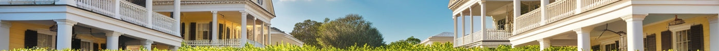 Best native hedge plants for your yard in 2024