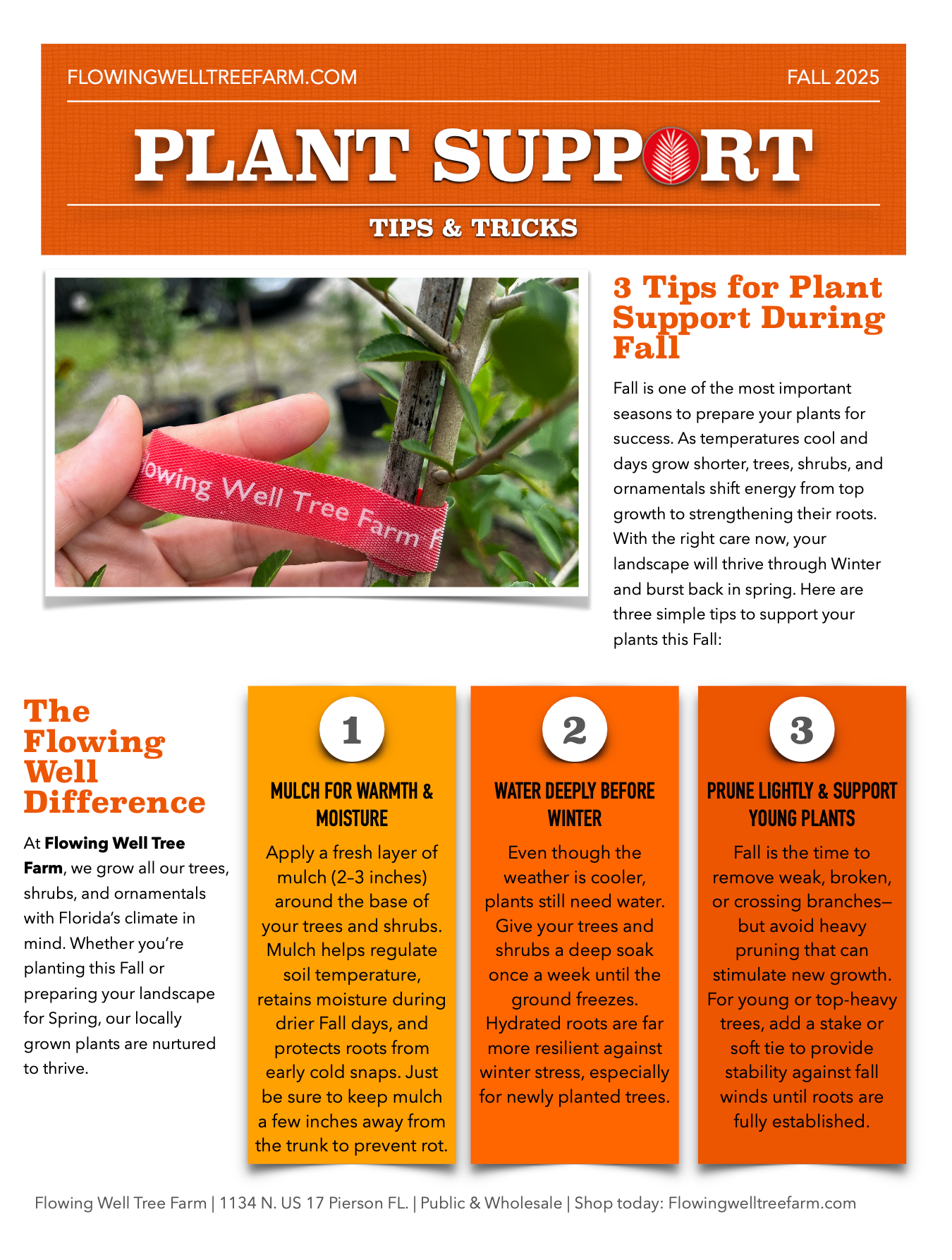 Plant Support