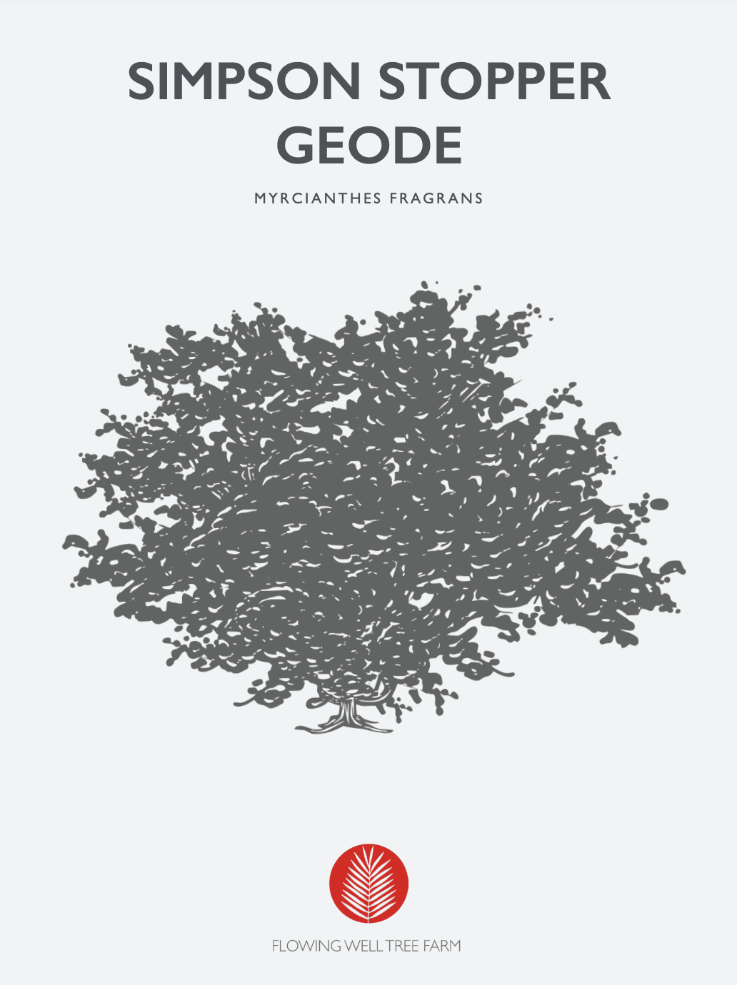 Simpson Stopper Geode Native