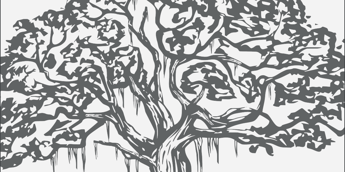 Live Oak Florida Native