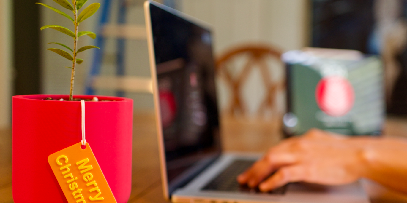 Bring Mediterranean Charm Indoors with an Olive Tree: The Perfect Houseplant for Style and Simplicity