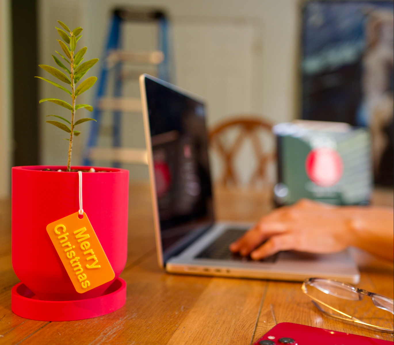 Bring Mediterranean Charm Indoors with an Olive Tree: The Perfect Houseplant for Style and Simplicity