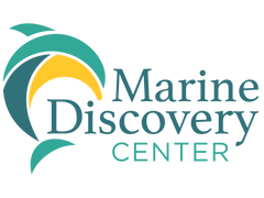 Final mdc logo spot colors