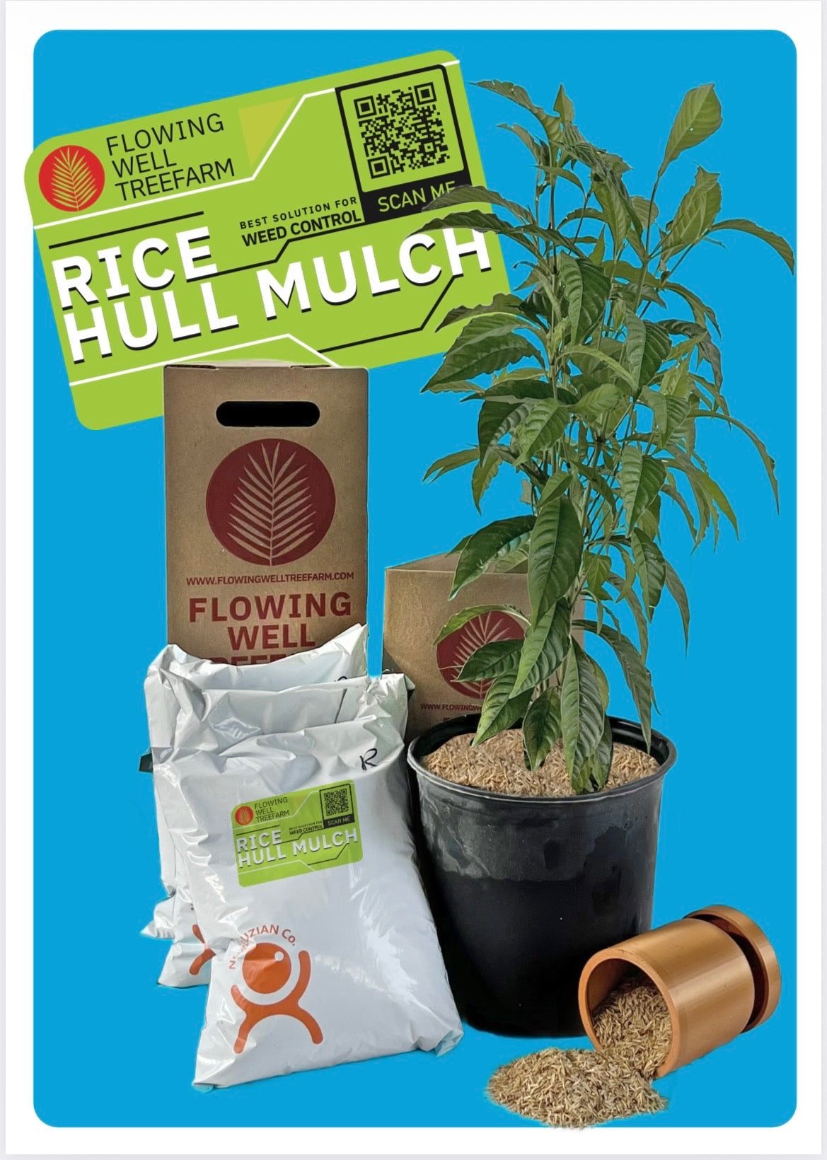 How to Use Mulch to Naturally Control Weeds: Easy, Effective Tips