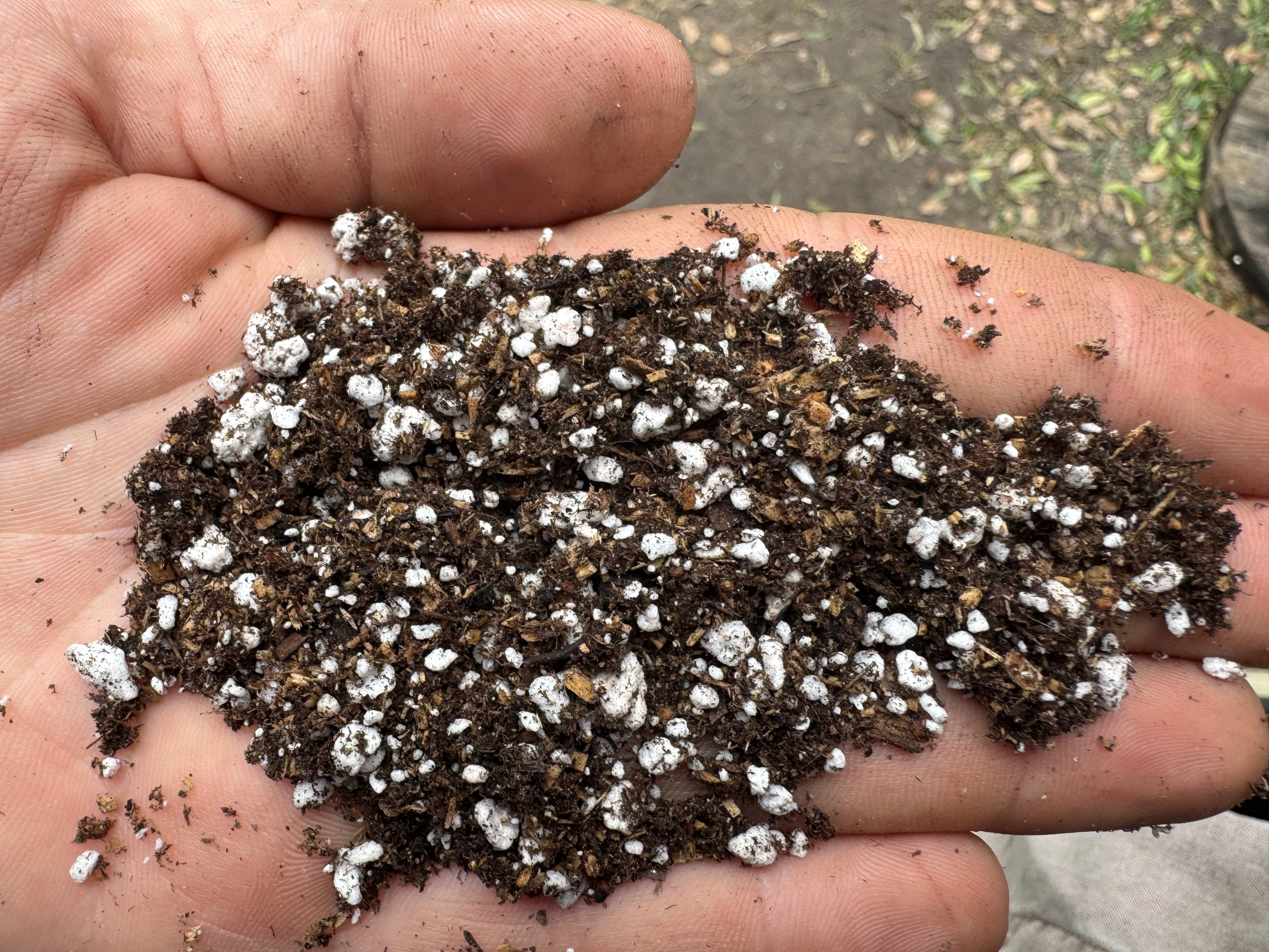 Signature Propagation Soil Bundle of 2