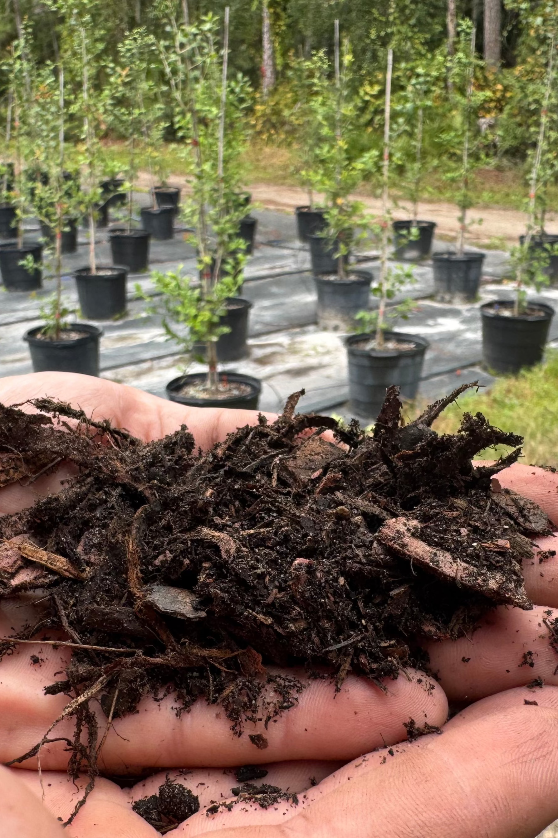 Signature All-Purpose Soil Mix By Yard