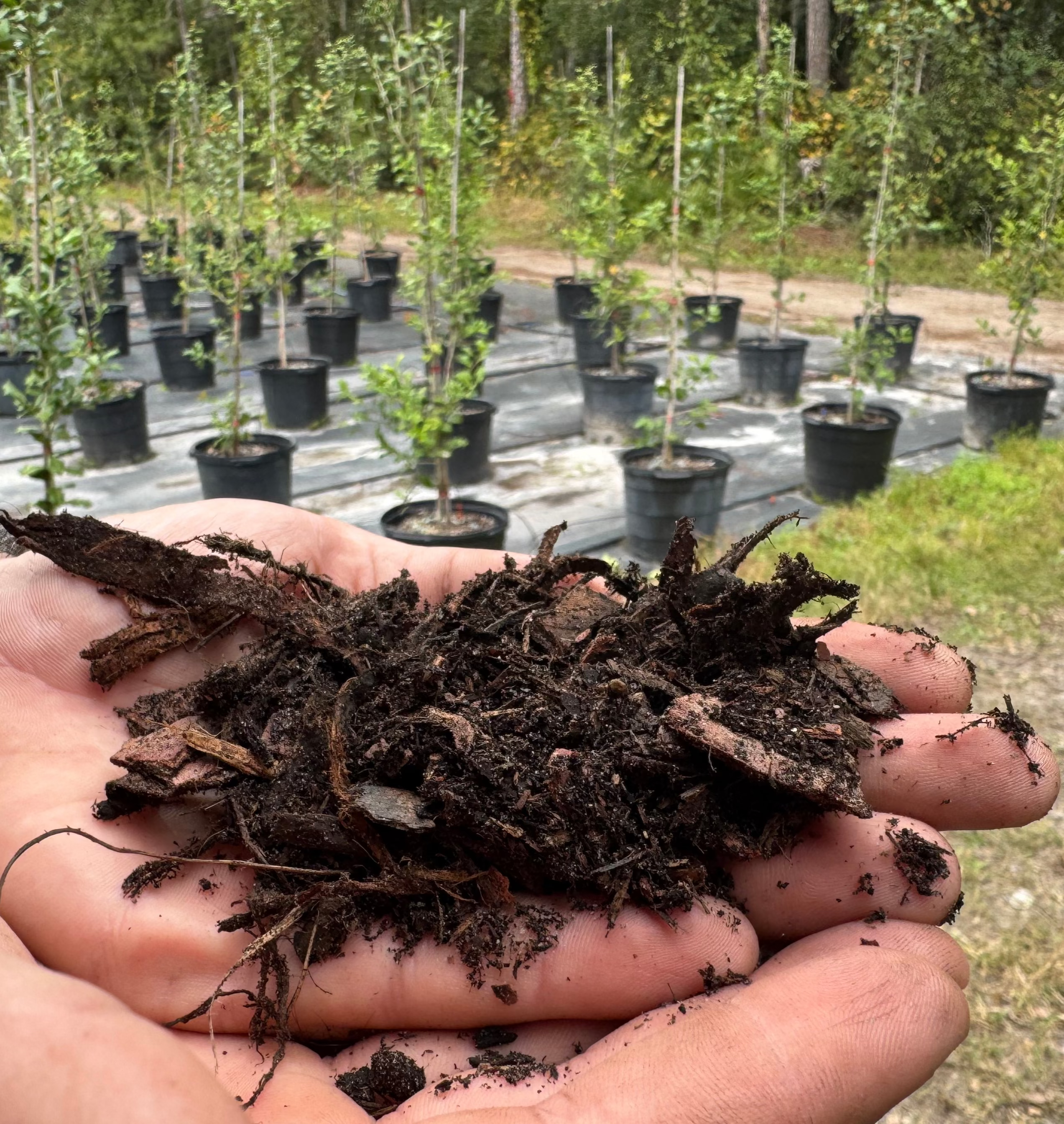 Signature All-Purpose Soil Mix By Yard