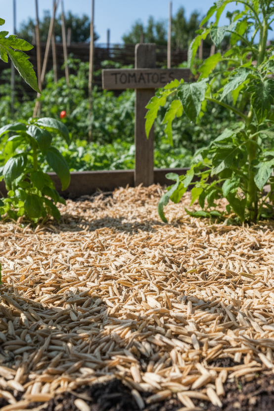 Rice Hull 15g Bucket