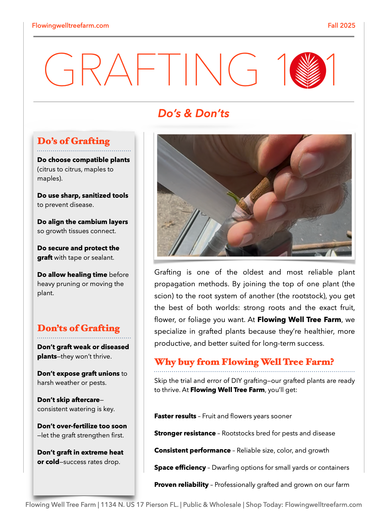 Grafting 101