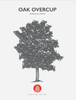 Oak Overcup Native