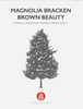 Magnolia Bracken Brown Beauty Native