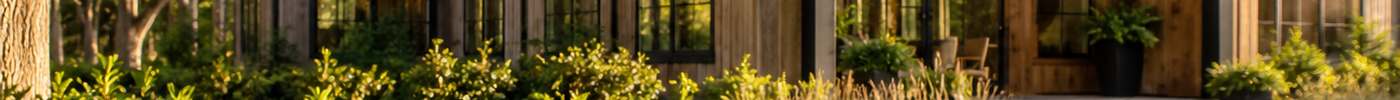 Best Native Trees for New Construction Projects in Florida | Flowing Well Tree Farm