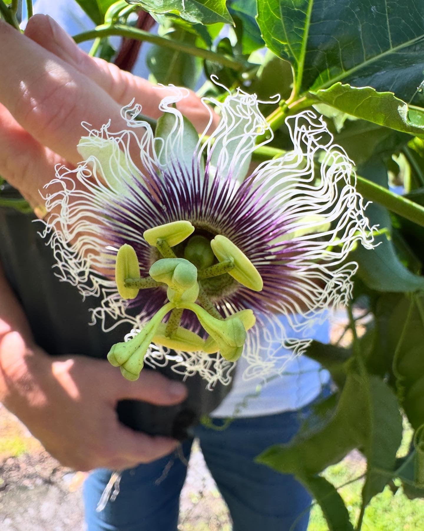 420752ff df72 4c11 8eda 37204025f9bb