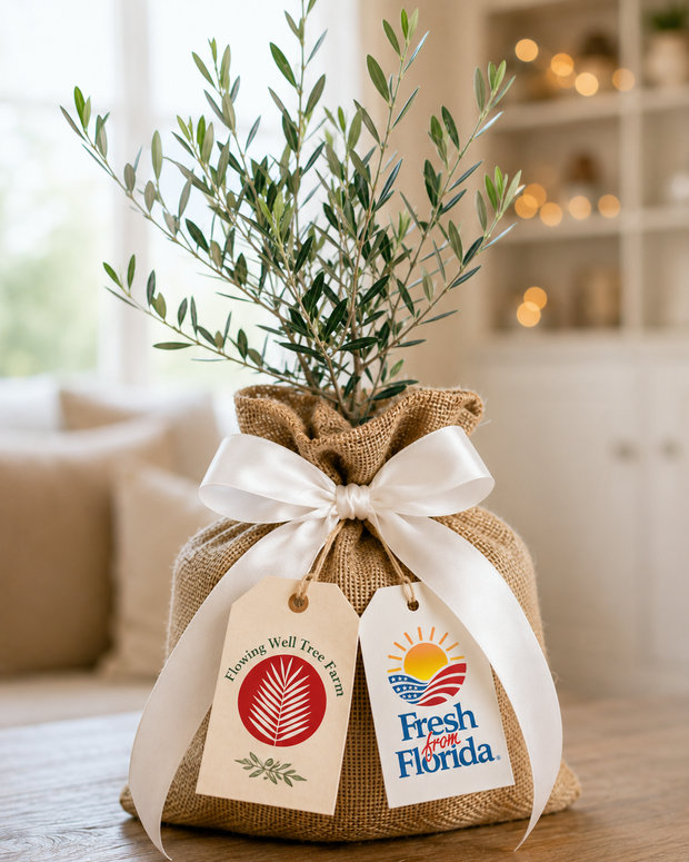 <h1>PLANT GIFTS</h1>