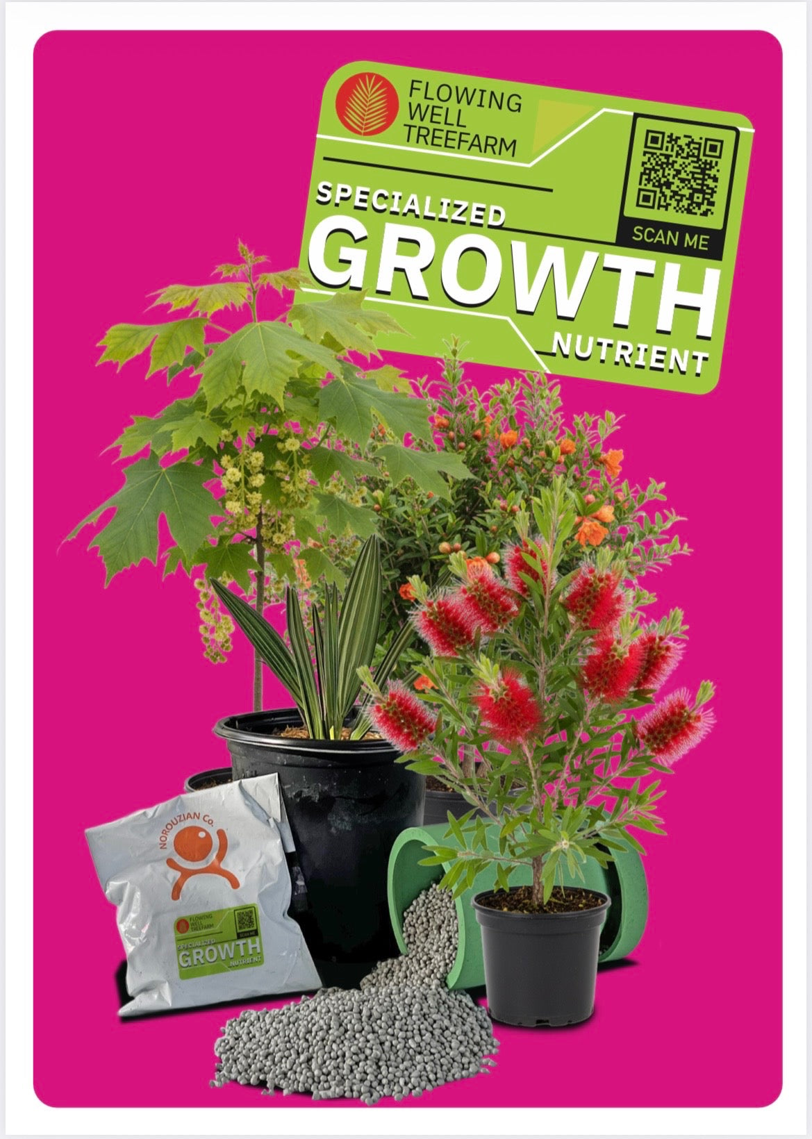 Premium Fertilizer 19-4-10