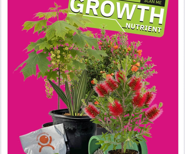fertilizer for bottlebrush plant Flowing Well Tree Farm Premium Fertilizer 19-4-10