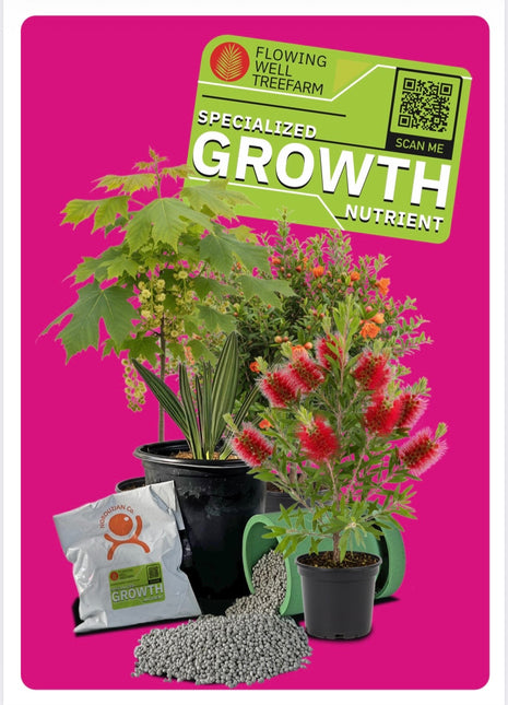 Premium Fertilizer 19-4-10
