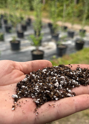 Signature Propagation Soil Bundle of 2