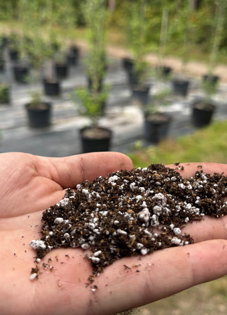 Signature Propagation Soil Bundle of 2