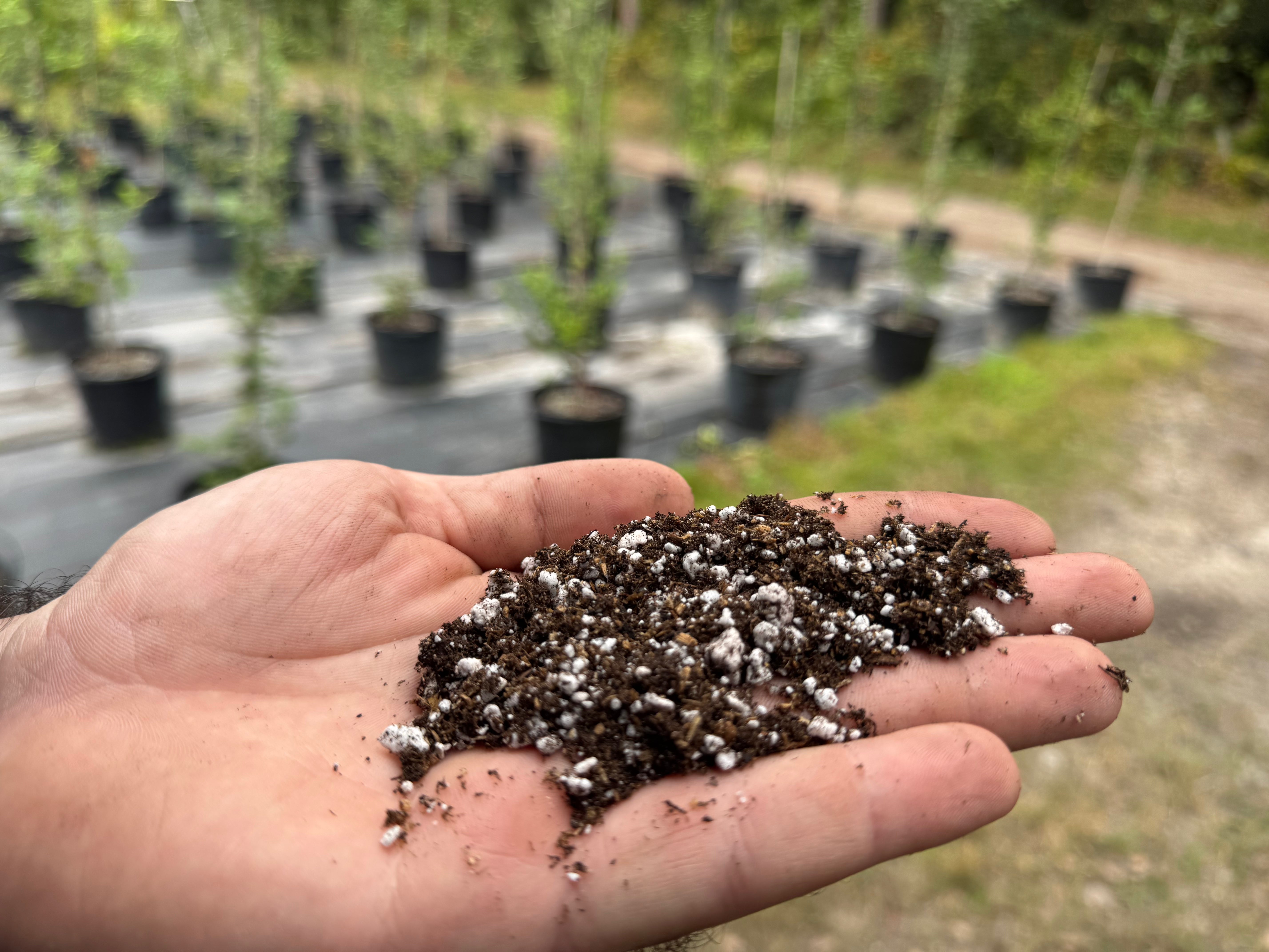 Signature Propagation Soil Bundle of 2