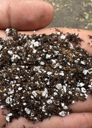 Signature Propagation Soil Bundle of 2