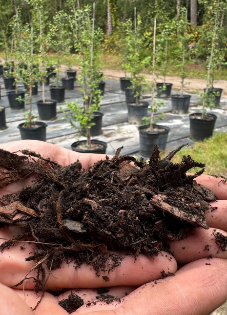 Signature All-Purpose Soil Mix By Yard