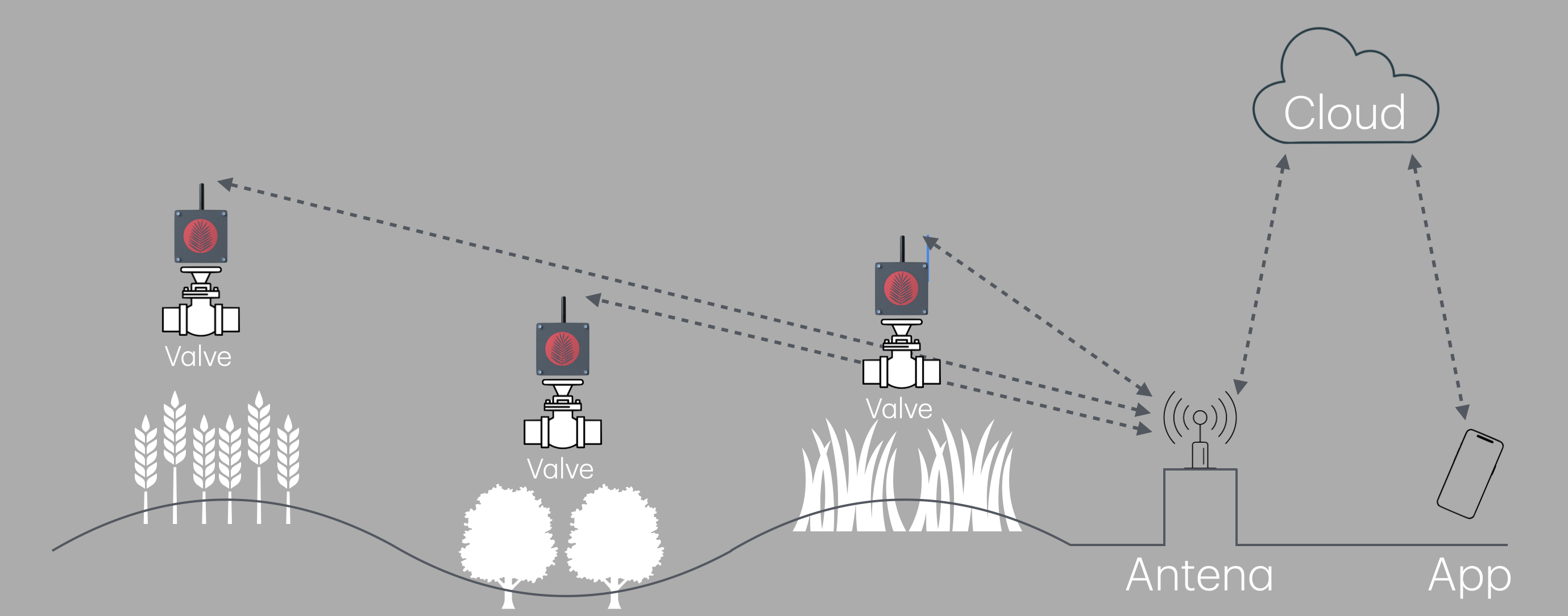 Screenshot 2025 08 26 at 1