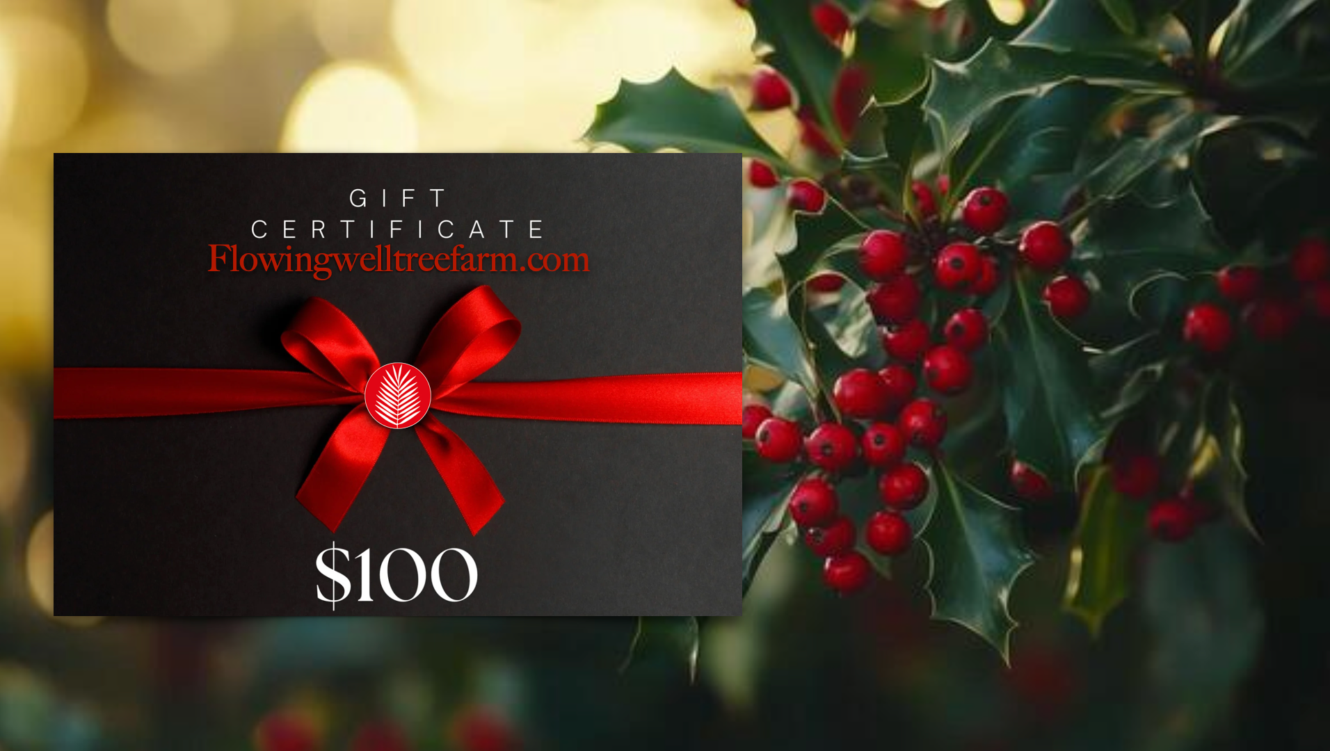 Screenshot 2025 12 17 at 4