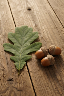 <h1>Automatic 35% Off "Tree Replacement Sale"</h1>